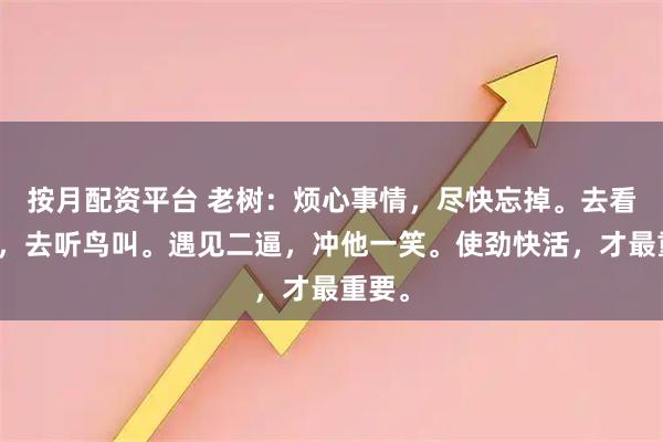 按月配资平台 老树：烦心事情，尽快忘掉。去看花开，去听鸟叫。遇见二逼，冲他一笑。使劲快活，才最重要。
