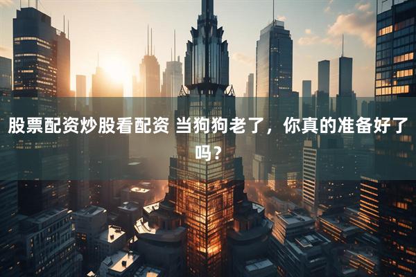 股票配资炒股看配资 当狗狗老了,你真的准备好了吗?